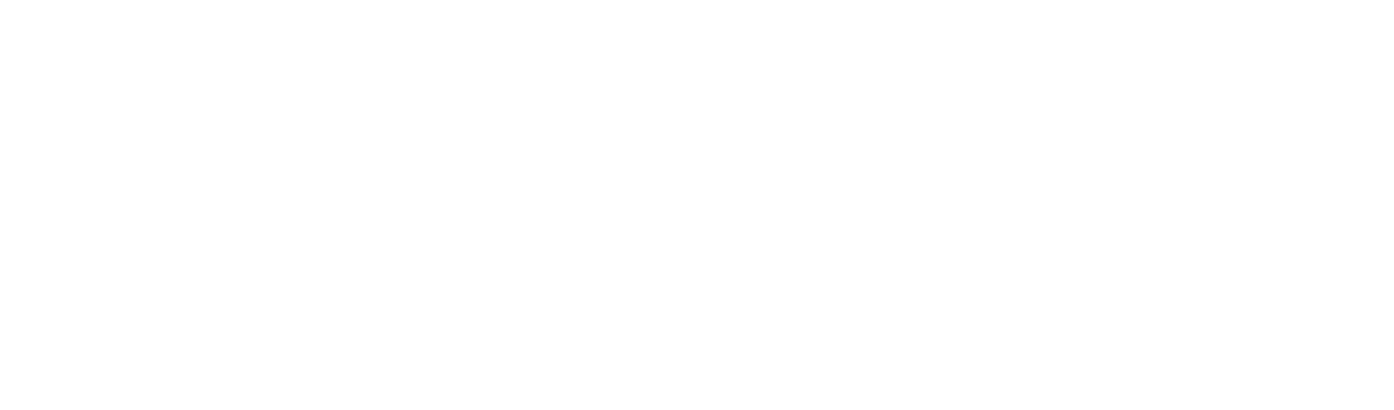 Honkawa Special Steel Corporation